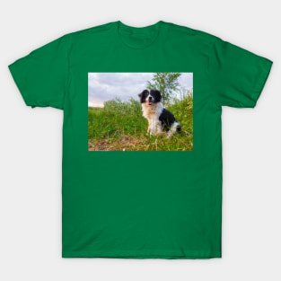 my boy T-Shirt